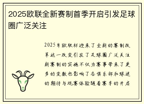 2025欧联全新赛制首季开启引发足球圈广泛关注